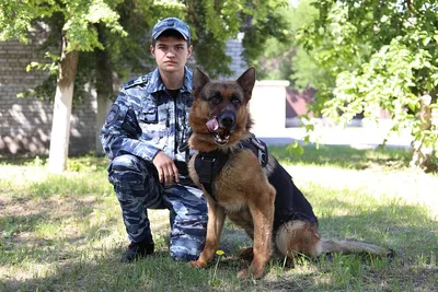 Челябинские волонтеры купили разгрузочный жилет для собаки в зоне СВО