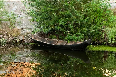 Лодка Tuna Boats 545 CC купить, цена от интернет-магазина BoatLab