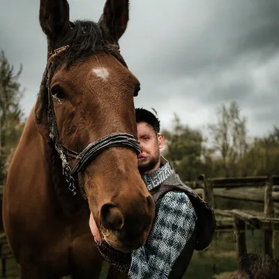 Бесплатные Человек на лошади стоковые фотографии | FreeImages