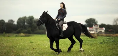 Человек и лошадь: во сколько обходятся занятия конным спортом | Ваши личные  финансы | Дзен