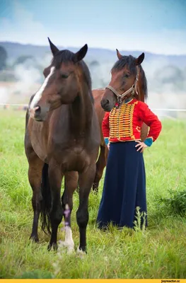 Лошадь и человек стоковое фото. изображение насчитывающей актеров - 27188590