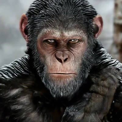 Человек-обезьяна» — создано в Шедевруме