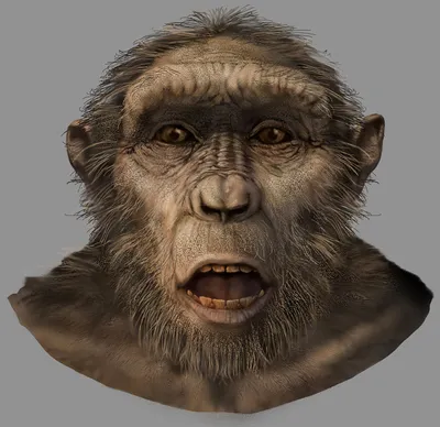 Человек-обезьяна» — создано в Шедевруме
