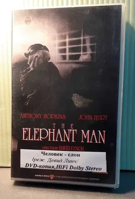 Человек слон, 30mm lens, 1/250s, f…» — создано в Шедевруме