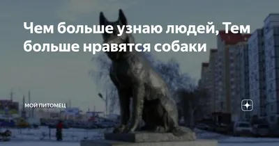 Федин С.Н. \"Чем больше я узнаю людей, тем больше я люблю собак\" — купить в  интернет-магазине по низкой цене на Яндекс Маркете