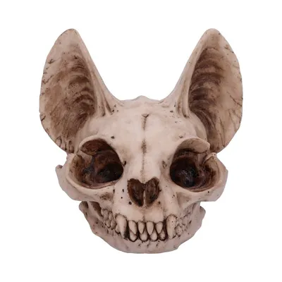 Череп из костей козы кота на фоне…» — создано в Шедевруме