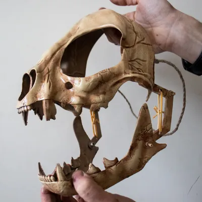 Реалистичная копия кота черепа из смолы обучающая модель скелета реквизит  для аквариума Хэллоуина ужасные Принадлежности Декор для дома | AliExpress