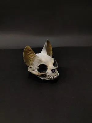 Вампирский готический череп кошки, с…» — создано в Шедевруме