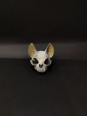 Файл STL Скульптура черепа кошки 🐱・Модель для загрузки и 3D-печати・Cults