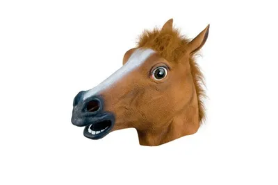 Картинки череп лошади (48 фото) » Юмор, позитив и много смешных картинок