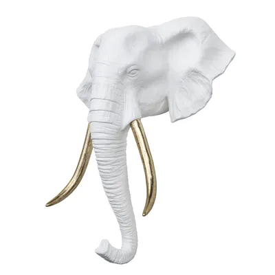 Череп слона стоковое фото. изображение насчитывающей слон - 67573408