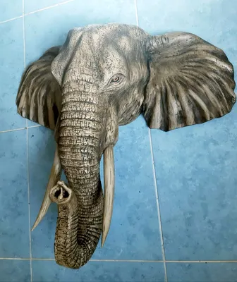 Череп африканского слона 3D Модель $49 - .max .fbx .obj - Free3D