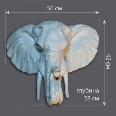 Статуэтка ARTVACH Голова слона арт НФ-938723 - купить по низким ценам в  интернет-магазине OZON (446425990)