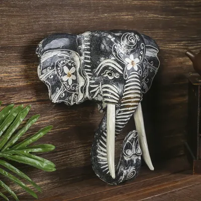 Череп Африканского Слона — стоковые фотографии и другие картинки Namutoni -  Namutoni, Африка, Африканский слон - iStock