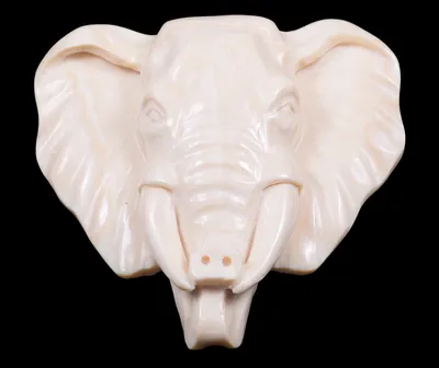 Панно \"Голова слона\" коричневое, бивни 2-х цветов, 40 см по цене 3159 ₽/шт.  купить в Тольятти в интернет-магазине Леруа Мерлен