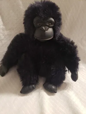 Мягкая игрушка обезьяна , обезьянка с коробочкой, горилла чёрная, милая  мартышка, подарок ребенку. - купить с доставкой по выгодным ценам в  интернет-магазине OZON (523719535)