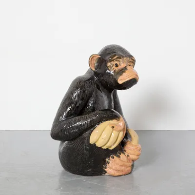 Страшная чёрная обезьяна с …» — создано в Шедевруме