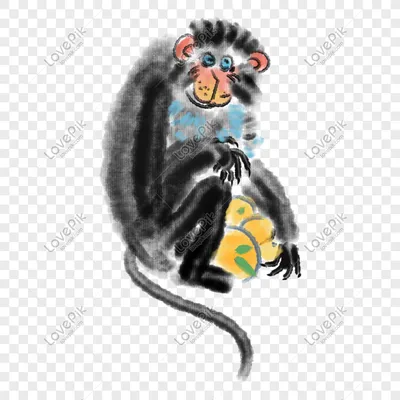 крутая черная обезьяна выглядит самодовольно, обезьяна, солнечные очки,  животное фон картинки и Фото для бесплатной загрузки