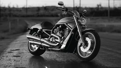 Ограниченная палитра: фотографии черно-белых мотоциклов