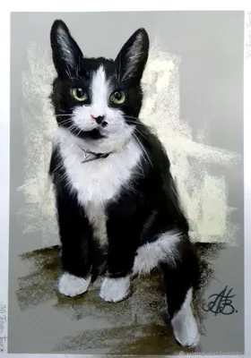 черно-белый кот / смешные картинки и другие приколы: комиксы, гиф анимация,  видео, лучший интеллектуальный юмор.