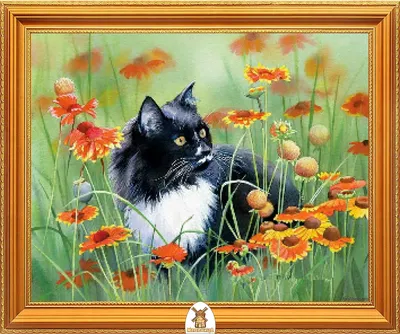 черно-белый котенок, кот стоковое фото. изображение насчитывающей мило -  58724020