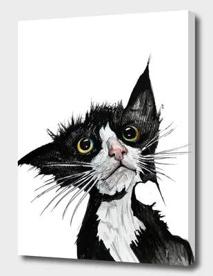 Картины: Чёрно-белый кот на красном в интернет-магазине Ярмарка Мастеров по  цене 6480 ₽ – PZH1GRU | Картины, Сочи - доставка по России