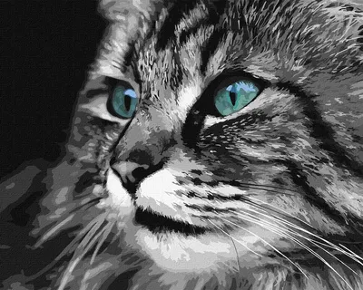 Черно-белый Кот, Лежащий На Красном Фоне Фотография, картинки, изображения  и сток-фотография без роялти. Image 36228431