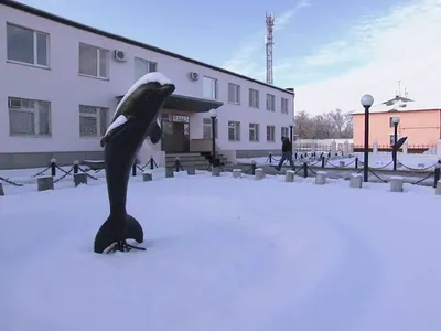 Правозащитница назвала оренбургскую колонию «Черный дельфин» феноменом