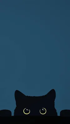 Чёрный кот обои на телефон | Cute cartoon wallpapers, Iphone wallpaper cat,  Cat phone wallpaper