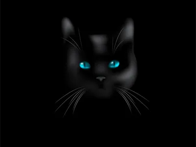 обои для 45 бабушек))) | Смешные кошки, Котопес, Черные котята