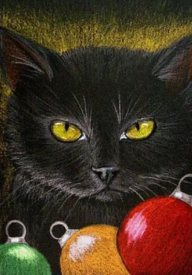 Черный кот: истории из жизни, советы, новости, юмор и картинки — Горячее,  страница 4 | Пикабу