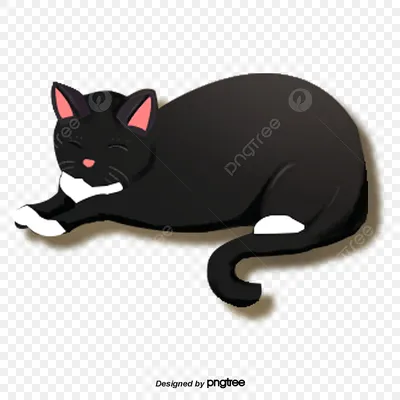 Фотография черного кота: загадочность и магия – full hd