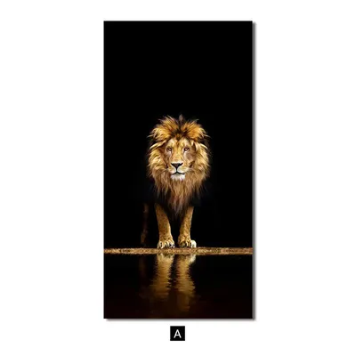 Кликните для закрытия картинки, нажмите и удерживайте для перемещения |  Животные, Лев картинки, Черный лев