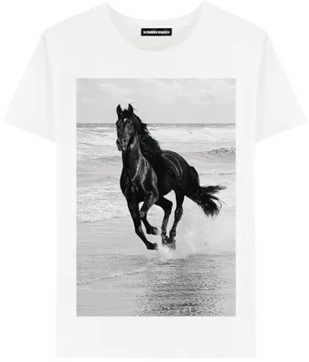 Силуэт Черный Mustang Лошадь Векторная Иллюстрация — стоковая векторная  графика и другие изображения на тему Абстрактный - Абстрактный, Андалузская  лошадь, Белый фон - iStock
