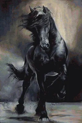 картинки : Лошадь, Млекопитающее, Жеребец, Грива, Черный, Крупным планом,  нос, Глаз, глава, Позвоночный, Фриз, Конь как млекопитающее, Мустанг лошадь  4000x6000 - - 1379774 - красивые картинки - PxHere
