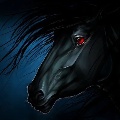 Черный мустанг лошадь - 54 фото