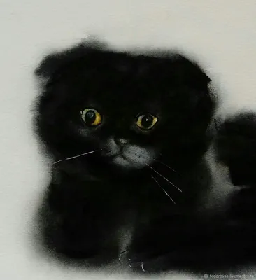 Черный шотландский кот ловит бабочек» — создано в Шедевруме