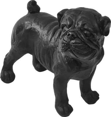 Какую породу называли \"собакой Сталина\". История породы чёрный терьер. |  Собака - друг человека | Дзен