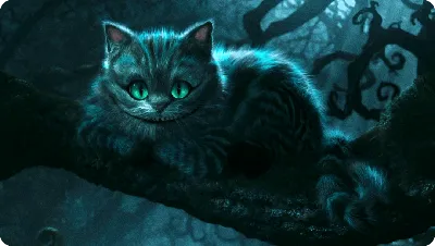 Раскраска Чеширский кот распечатать или скачать