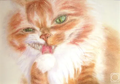 Плакат А3 фигурный Чеширский кот