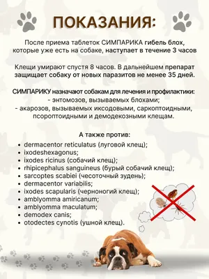 Таблетка Симпарика от блох и клещей для собак весом от 40 до 60 кг 1  таблетка - доставка по Украине | ZooCool.com.ua