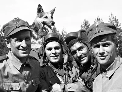 Четыре танкиста и собака фото фотографии