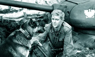 Весёлые картинки Warspot: четыре танкиста и собака на бумаге | Warspot.ru