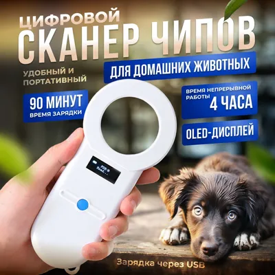 Что такое чипирование собак и кошек - Питомцы Mail.ru