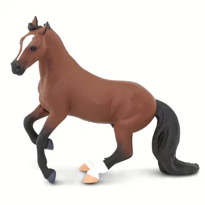 Чистокровная верховая - плюсы и минусы породы лошадей