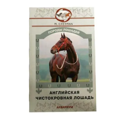 Schleich 13855 Английская чистокровная верховая лошадь English Thoroughbred  (ID#1548043750), цена: 499 ₴, купить на Prom.ua