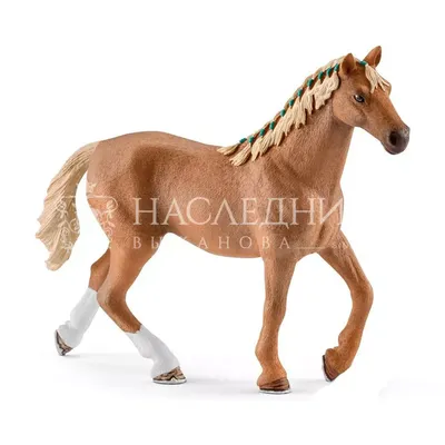Белорусская упряжная лошадь — Википедия