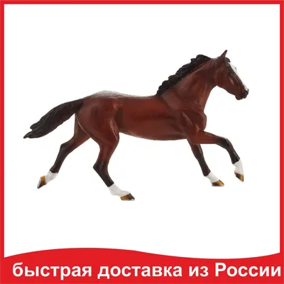 Английская чистокровная Лошадь Россия Скачки Продажа Доза Блаженства