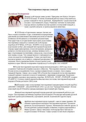 Ахалтекинская чистокровная лошадь …» — создано в Шедевруме