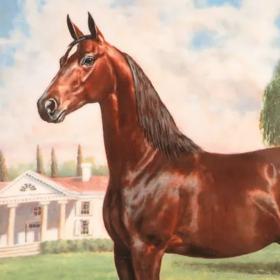 Чистокровная арабская лошадь /Конная выставка #ИППОсфера 2019 Лошади  арабской породы Arabian horse - YouTube